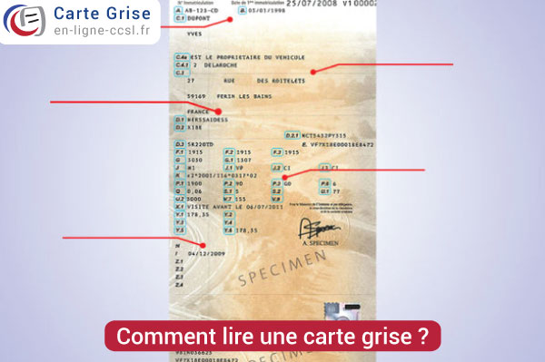 découvrez pourquoi la carte grise est essentielle pour la légalité de votre véhicule et pour éviter des amendes. informez-vous sur son rôle, son obtention et son actualisation pour rouler en toute sérénité.