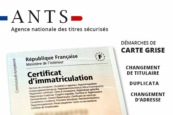 obtenez votre carte grise dans le 974 facilement et rapidement. découvrez les démarches nécessaires, les documents requis et toutes les informations pour immatriculer votre véhicule en toute simplicité.