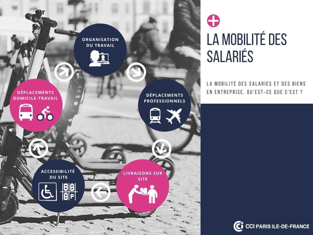 découvrez comment la carte grise pour les véhicules électriques contribue à des mobilités durables. informez-vous sur les avantages écologiques, les démarches administratives et les initiatives pour un futur plus vert.