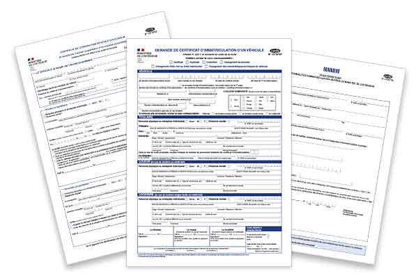 obtenez votre carte grise en ligne à la réunion facilement et rapidement. découvrez les étapes simples pour enregistrer votre véhicule et bénéficier d'un service rapide depuis chez vous.